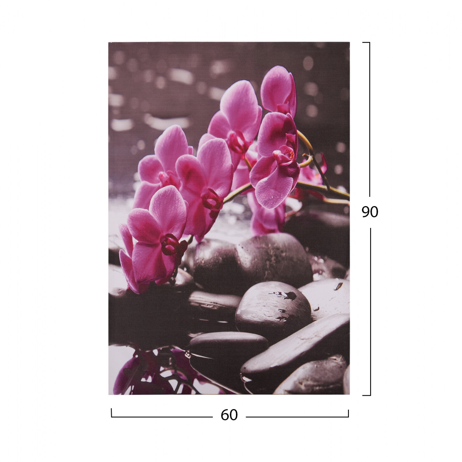 B2M-20029-pinakas-kambas-pink-orchid-hm715412-60x9-1