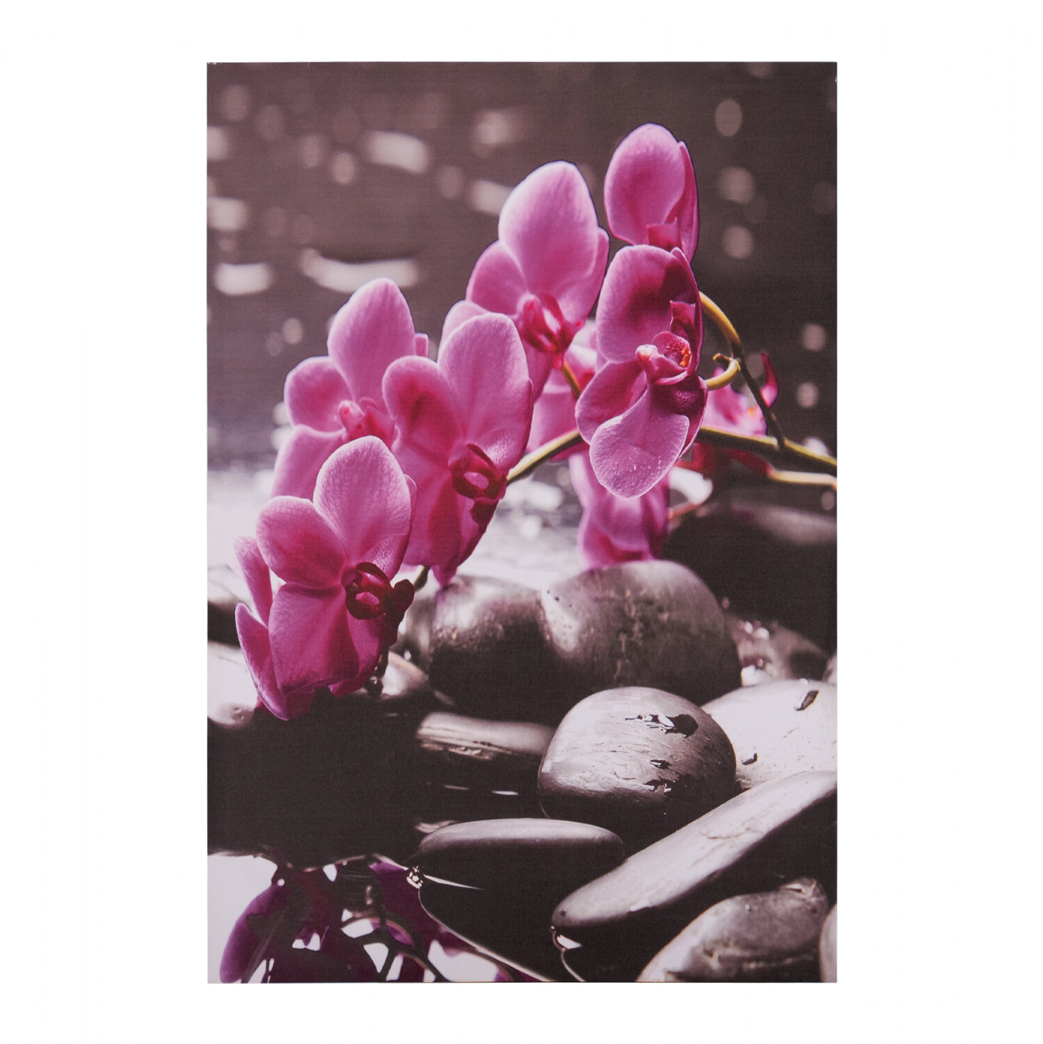 B2M-20029-pinakas-kambas-pink-orchid-hm715412-60x9
