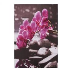 B2M-20029-pinakas-kambas-pink-orchid-hm715412-60x9.jpg