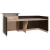 Γραφείο υποδοχής Dalton Wenge Μπεζ 240x82x105 εκ. Γραφείο υποδοχής Dalton Wenge Μπεζ 240x82x105 εκ.