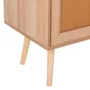 COLM TV Cabinet with RATTAN Doors in Natural 120x39x56.5cm COLM TV Cabinet with RATTAN Doors in Natural 120x39x56.5cm