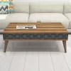 Coffee Table C9499.02 Walnut with Blue Sides 105x60x36.6cm Coffee Table C9499.02 Walnut with Blue Sides 105x60x36.6cm