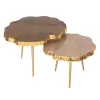 ANGUL Coffee Tables Set of 2 pcs Metal Gold Φ62 and 48x40 cm ANGUL Coffee Tables Set of 2 pcs Metal Gold Φ62 and 48x40 cm