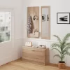 ΣΕΤ ΕΙΣΟΔΟΥ ΜΕ ΚΑΘΡΕΠΤΗ VERN  ΜΕΛΑΜΙΝΗ ΣΕ ΣΟΝΑΜΑ 80x27x175Υεκ ΣΕΤ ΕΙΣΟΔΟΥ ΜΕ ΚΑΘΡΕΠΤΗ VERN  ΜΕΛΑΜΙΝΗ ΣΕ ΣΟΝΑΜΑ 80x27x175Υεκ