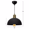 Ceiling light C7612.01 Metal Black Φ23x73cm