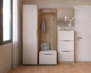 Entrance Wardrobe Smart Entrance Wardrobe Smart