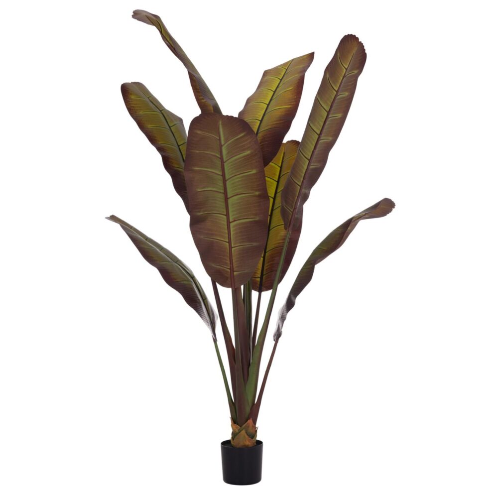 Διακοσμητικό Συνθετικό Φυτό ΙΑΠΩΝΙΚΗ ΜΠΑΝΑΝΑ C4740 σε γλάστρα 85x75x225Υεκ.
