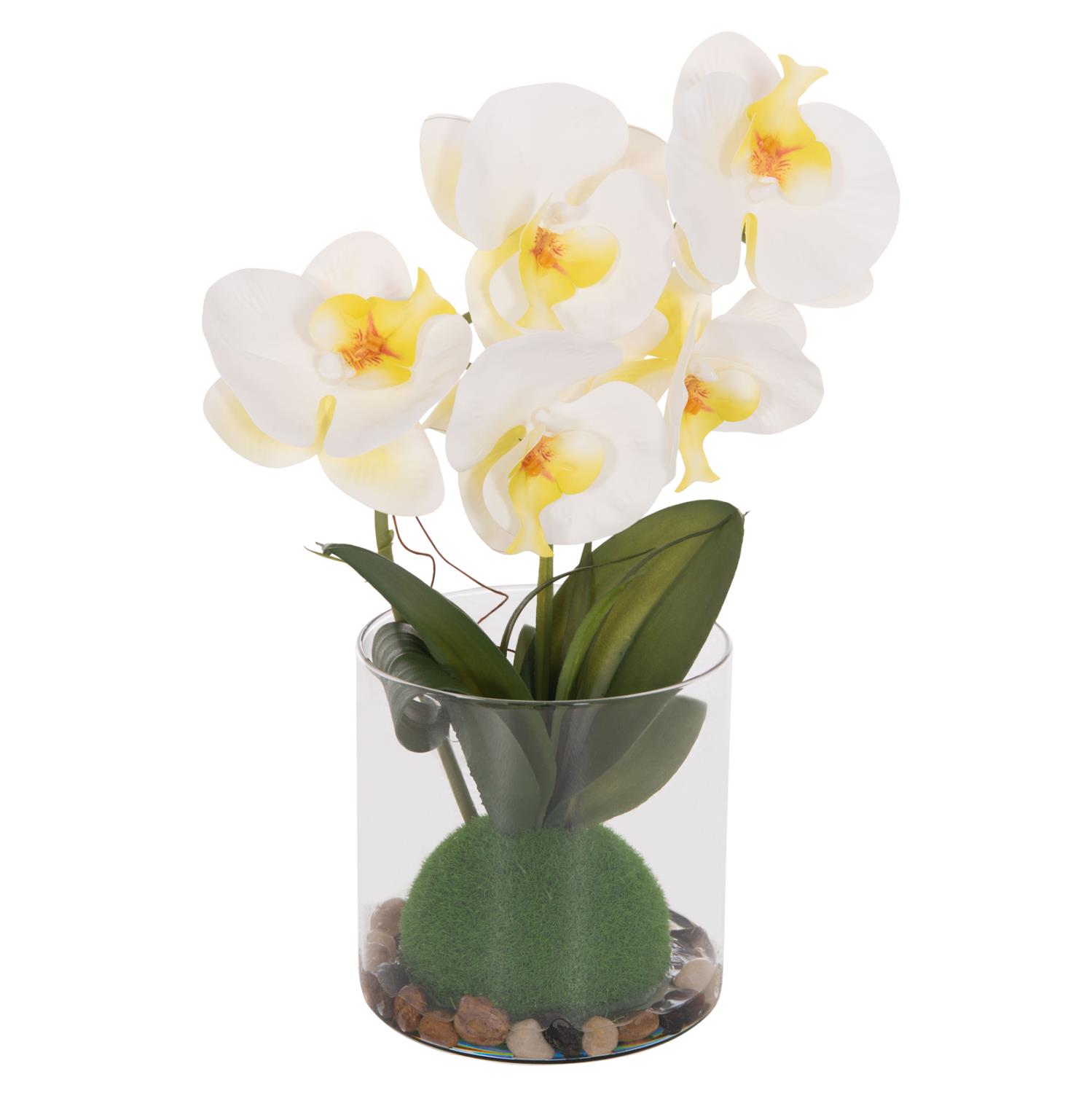 Διακοσμητικό Συνθετικό Φυτό Λουλούδι PHALAENOPSIS C4738 σε Γυάλινο Βάζο 12x24x30Υεκ Διακοσμητικό Συνθετικό Φυτό Λουλούδι PHALAENOPSIS C4738 σε Γυάλινο Βάζο 12x24x30Υεκ