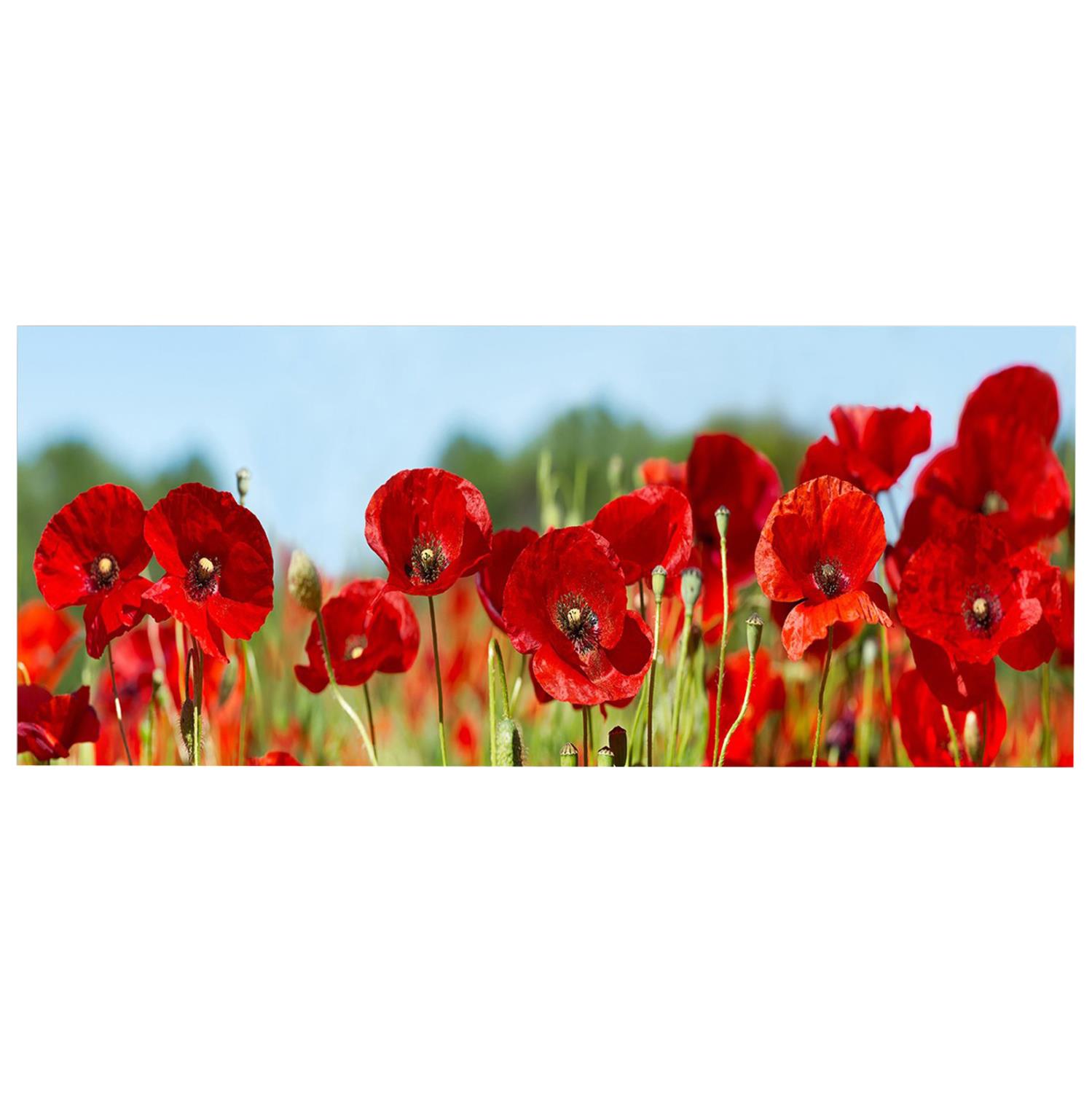 Πίνακας Τοίχου Σειρά GOBI C4786 Εκτυπωμένος Καμβάς 120x3(πάχος)x50Υεκ. Πίνακας Τοίχου Σειρά GOBI C4786 Εκτυπωμένος Καμβάς 120x3(πάχος)x50Υεκ.