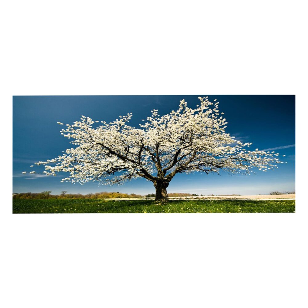 Πίνακας Τοίχου Σειρά GOBI C4792 Εκτυπωμένος Καμβάς 120x3(πάχος)x50Υεκ.