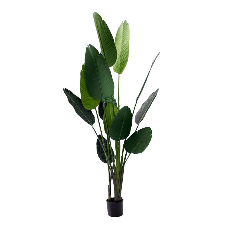 Διακοσμητικό φυτό Palm tree σε γλάστρα Inart πράσινο pp Υ180εκ Διακοσμητικό φυτό Palm tree σε γλάστρα Inart πράσινο pp Υ180εκ
