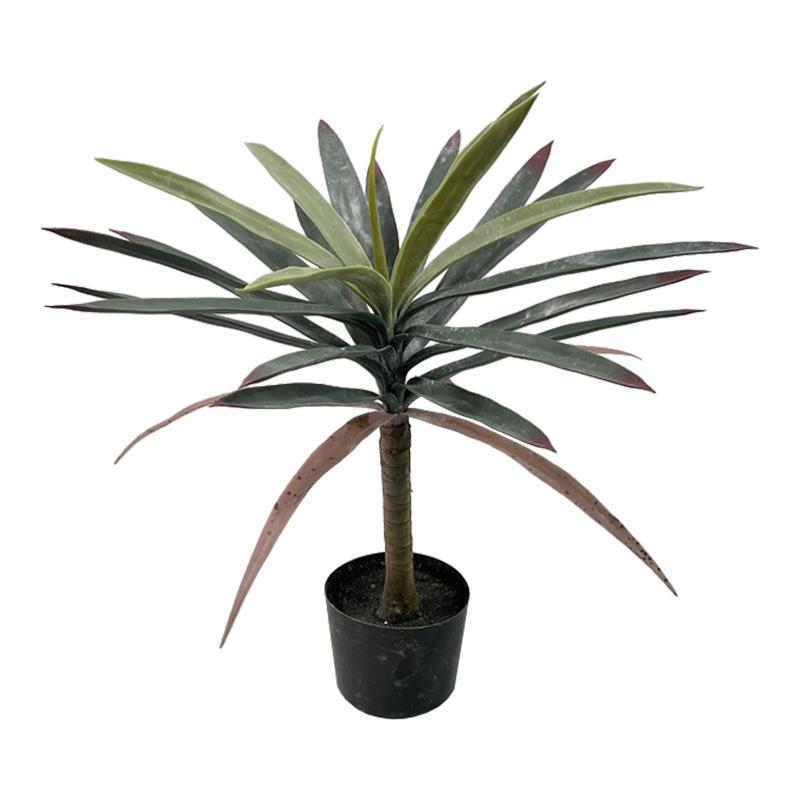 Διακοσμητικό φυτό Dracaena palm σε γλάστρα Inart πράσινο pp Υ62εκ