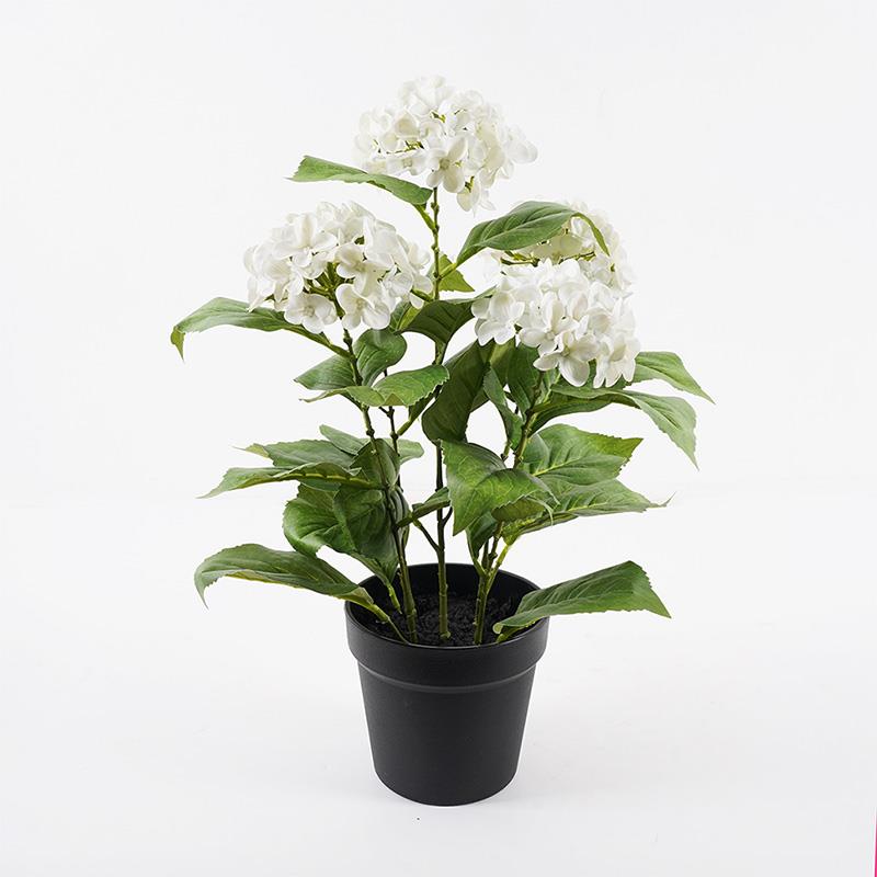 Διακοσμητικό φυτό σε γλάστρα Hydrangea Inart λευκό Φ35x50εκ Διακοσμητικό φυτό σε γλάστρα Hydrangea Inart λευκό Φ35x50εκ