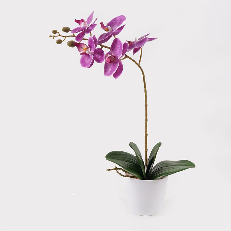 Διακοσμητικό φυτό σε γλάστρα Οrchid Beauty Inart 30x13x46εκ Διακοσμητικό φυτό σε γλάστρα Οrchid Beauty Inart 30x13x46εκ