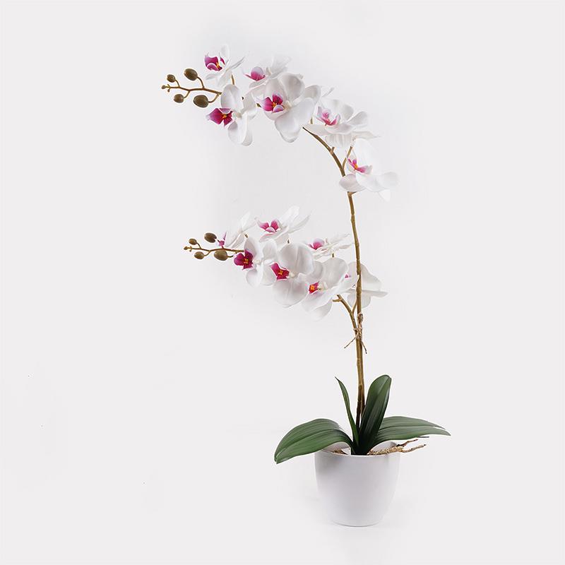 Διακοσμητικό φυτό σε γλάστρα Οrchid White Inart 36x17x65εκ Διακοσμητικό φυτό σε γλάστρα Οrchid White Inart 36x17x65εκ