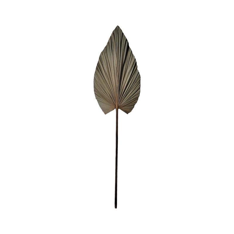 Διακοσμητικό φύλλο Leafen I φυσικό palm leaf 130εκ Διακοσμητικό φύλλο Leafen I φυσικό palm leaf 130εκ