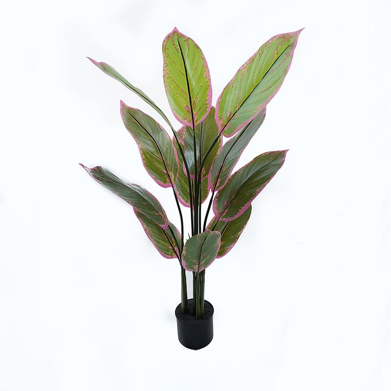 Διακοσμητικό φυτό σε γλάστρα Calathea Inart πράσινο Φ68x120εκ Διακοσμητικό φυτό σε γλάστρα Calathea Inart πράσινο Φ68x120εκ
